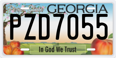 GA license plate PZD7055