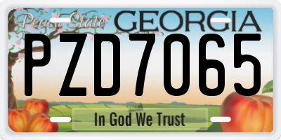 GA license plate PZD7065