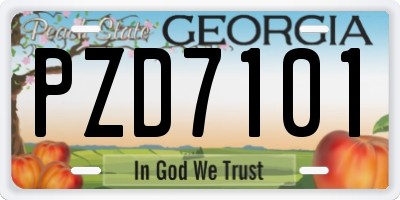 GA license plate PZD7101