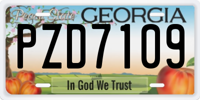 GA license plate PZD7109