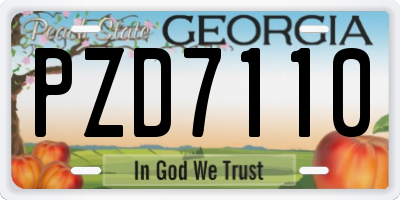 GA license plate PZD7110