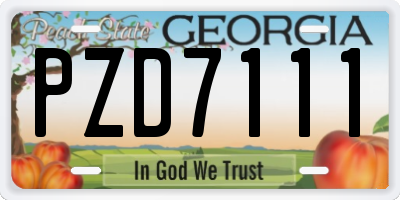 GA license plate PZD7111