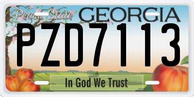 GA license plate PZD7113