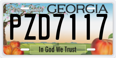 GA license plate PZD7117
