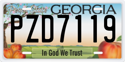 GA license plate PZD7119