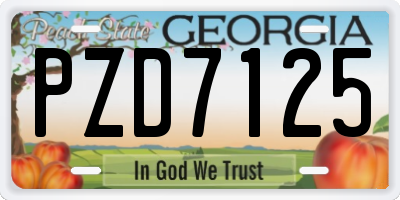 GA license plate PZD7125