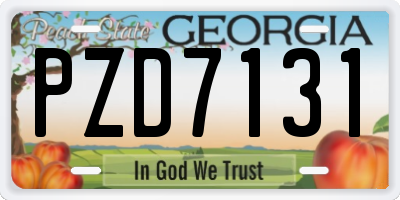 GA license plate PZD7131