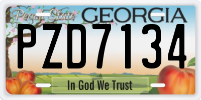 GA license plate PZD7134