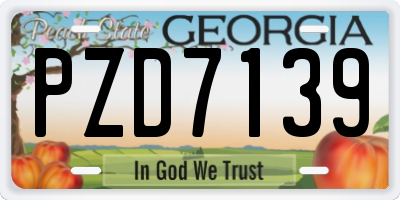 GA license plate PZD7139