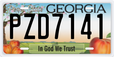 GA license plate PZD7141
