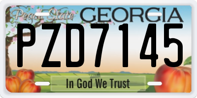 GA license plate PZD7145
