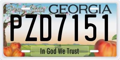 GA license plate PZD7151