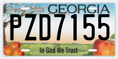 GA license plate PZD7155