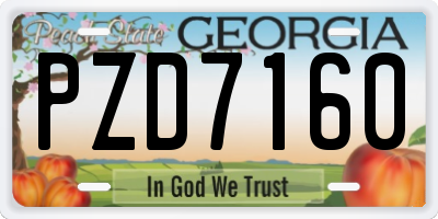 GA license plate PZD7160