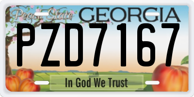 GA license plate PZD7167
