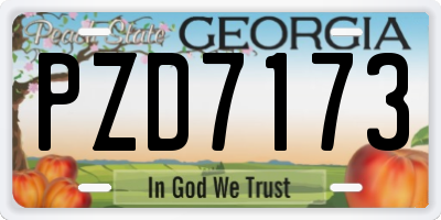 GA license plate PZD7173
