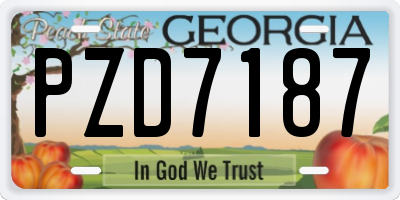 GA license plate PZD7187