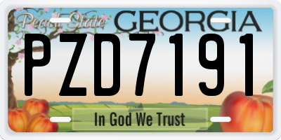 GA license plate PZD7191