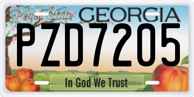 GA license plate PZD7205