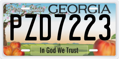 GA license plate PZD7223