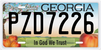 GA license plate PZD7226