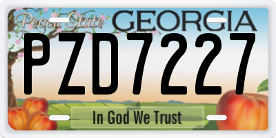 GA license plate PZD7227