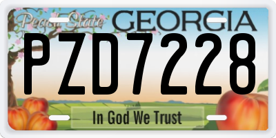 GA license plate PZD7228