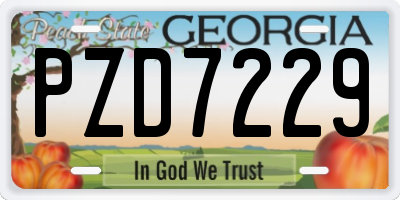 GA license plate PZD7229