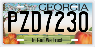 GA license plate PZD7230