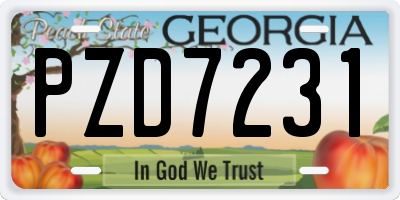 GA license plate PZD7231