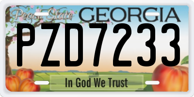 GA license plate PZD7233