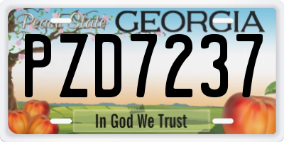 GA license plate PZD7237