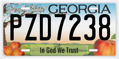 GA license plate PZD7238