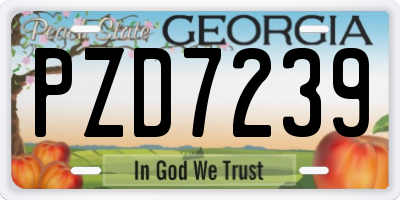 GA license plate PZD7239
