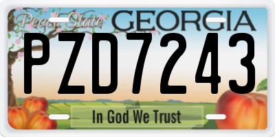 GA license plate PZD7243