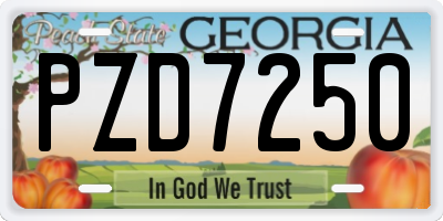 GA license plate PZD7250