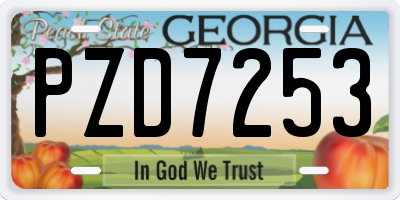 GA license plate PZD7253