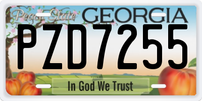 GA license plate PZD7255