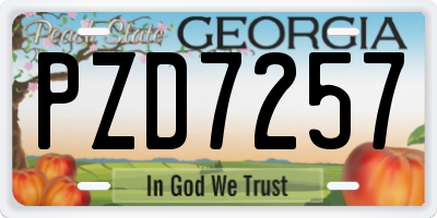 GA license plate PZD7257