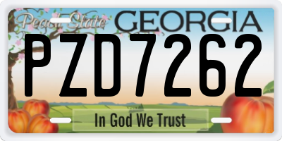 GA license plate PZD7262