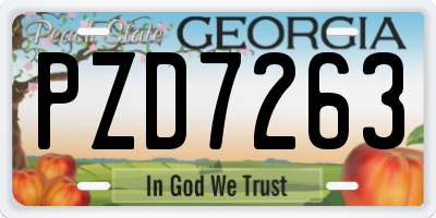 GA license plate PZD7263