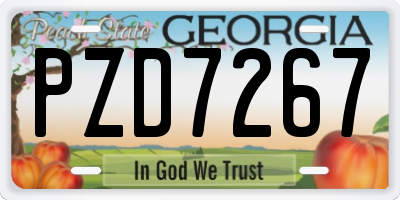GA license plate PZD7267