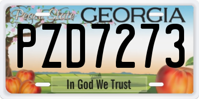 GA license plate PZD7273