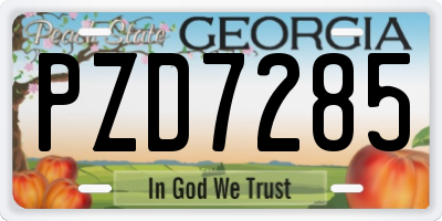 GA license plate PZD7285