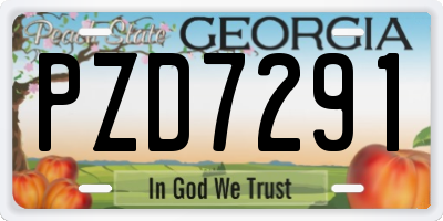 GA license plate PZD7291