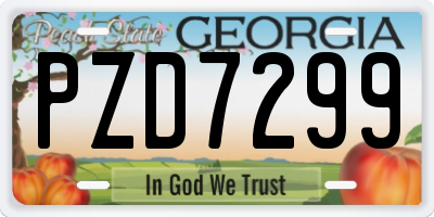 GA license plate PZD7299