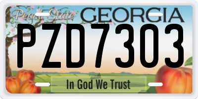 GA license plate PZD7303