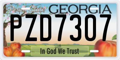 GA license plate PZD7307