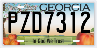 GA license plate PZD7312