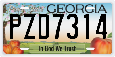 GA license plate PZD7314